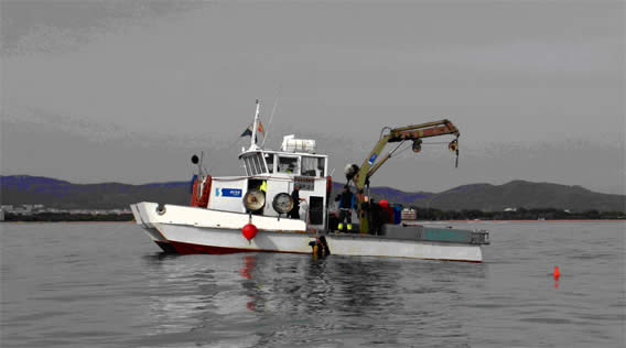 Obras de mantenimento del emisario submarino de la depuradora de la Murtra (Gav&agrave; Mar - Viladecans) (Enero de 2009)